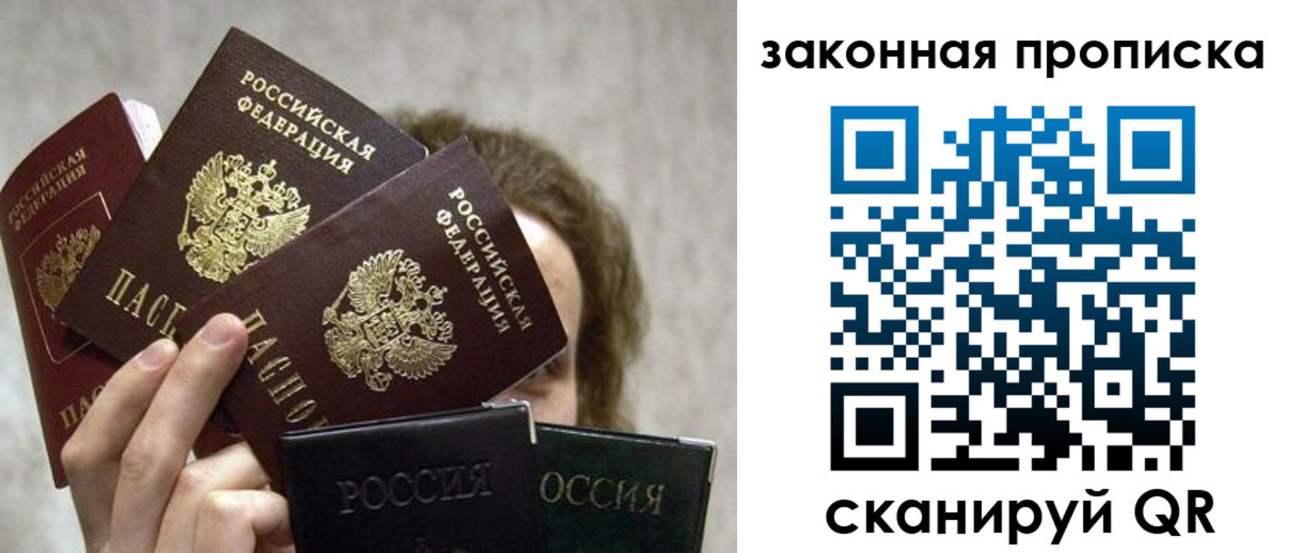 прописка законно в Советске